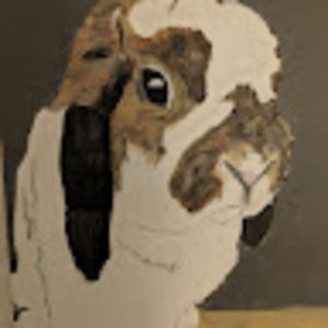 Meet your Posher, Kenny